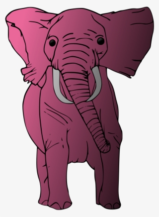 Elephant Png, Transparent Elephant Png Image Free Download - Pngkey