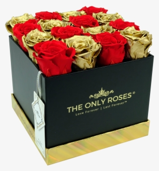 Red And Gold Preserved Roses - Rose #9596434