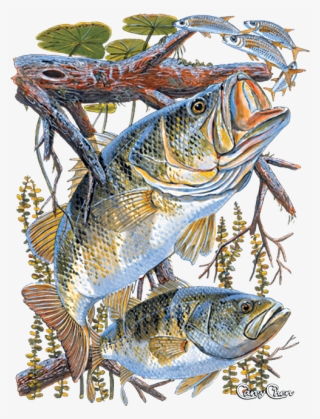 Two Bass - T-shirt #9596510