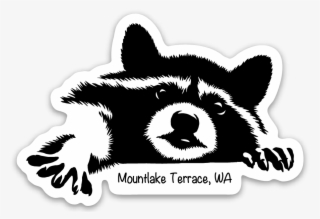 Mountlake Terrace Racoon Stickers - Black And White Racoon Drawings #9597684