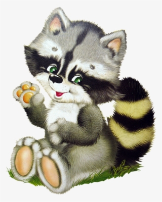 Яндекс - Фотки - Клипарт Енот #9598323