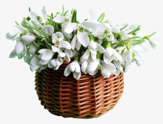 Cesto De Flores Brancas Png - Красивые Открытки С Поздравлениями С 8 Марта #9599296