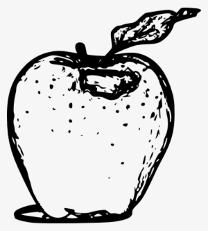 Apple Line Art Svg Clip Arts 534 X 594 Px #960311