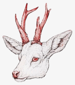 Drawn Antler Eye - Drawing #960370