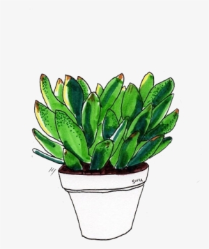 ☁ Transparents ☁ - Plant Aesthetic Tumblr Drawing #960653