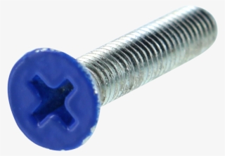 Standard Phillips Bolt 1" Blue Head - Standard Phillips Bolt 1 Inch Blue Head #960818