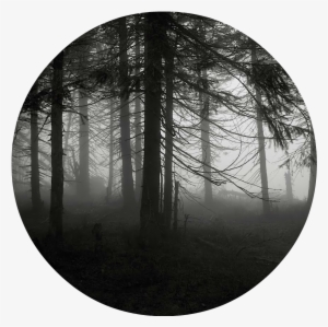 Spooky Forest 1 By Miwicz D2pg9gv 5565 - Real Hollywood Ghost Stories The House That Knows Your #961215