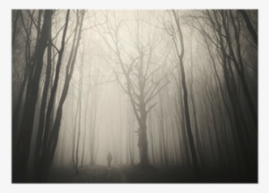 Man Walking Past A Huge Old Tree In A Dark Spooky Forest - Tree #961292