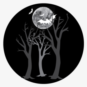 Forest Monochrome Glass Gobo - Forest #961342