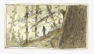 Spooky Forest Shadows - Travel #961522 Spooky Forest Shadows - Travel #961522