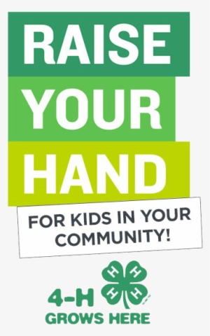 Raise Your Hand 4-h Promotion - 4h Alumni Pin Pinback Button Youth Club #961627