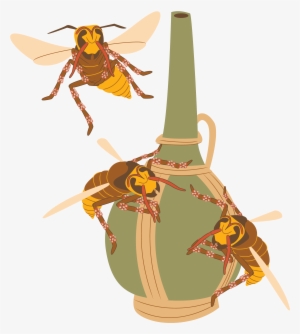 Charlotte Hornets #962998