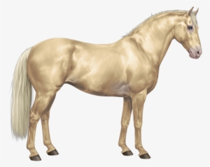 Currents - Ivory Amber Champagne Horse #963919