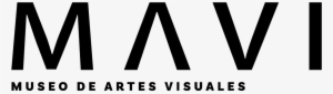 Museo De Artes Visuales - Museum #964043