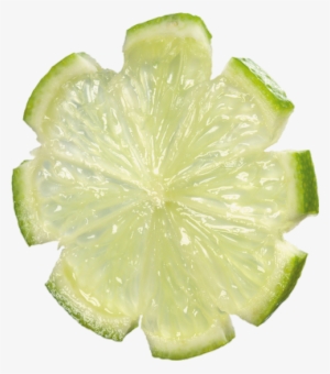 Tube Tranche Fruit Pour Créations #964821