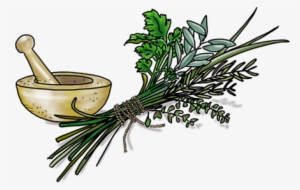 Tuscan Herb - Parsley #964846