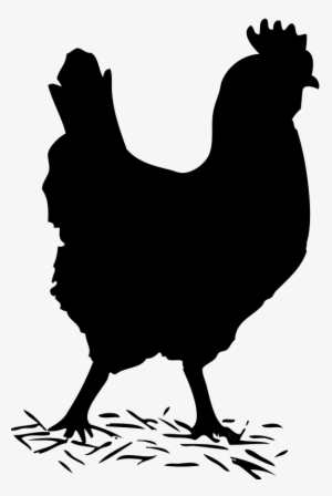 Chicken Clipart Shadow - Chicken Clipart Black And White #964952