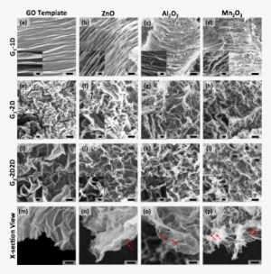 Figure 2 - - Fish #965059