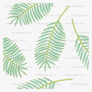 Palm Fronds - Pond Pine #965656 Palm Fronds - Pond Pine #965656