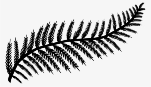 Leaf Fern Frond Silhouette Drawing - Palm Branch Png Silhouette #965838