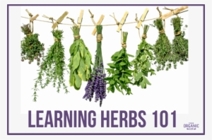 Cafepress Iherb Tile Coaster #965928