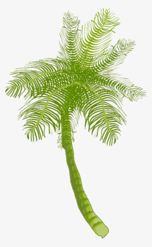 Tree, Ocean, Summer, Vacation, Beach, Palm Leaf - Coconut Tree Clip Art #965992