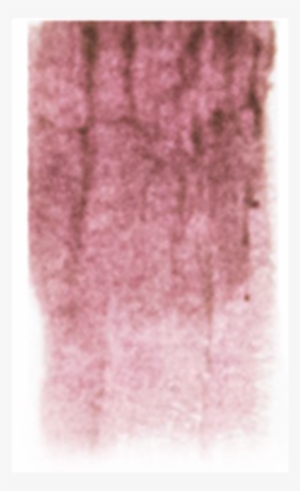 Skin Illustrator Glazing Gels, Sunburn 1, 1 Oz - Cosmetics #966323