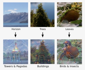 Going Deeper Into Neural Networks - Google Deep Dream Before After #966963