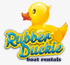 Make A Splash & Catch A Breeze - Duck #967281