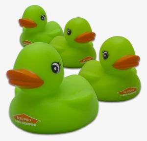 Rubber Duck - Green Rubber Duck #967353
