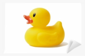 Duck #967534
