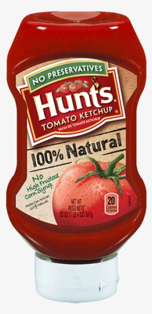 100% Natural Tomato Ketchup - Hunts Ketchup #967622