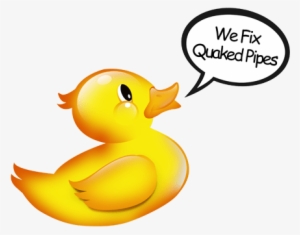 We Fix Quacked Pipes - Quacked Pipes #967716