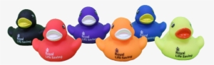 With Proceeds Contributing To Our Keep Watch Program - Bath Toy #967762