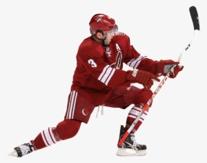Photo - Coyotes - Arizona Coyotes Player Png #967959