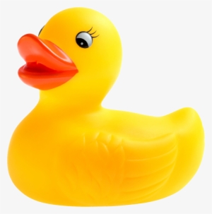 Rubber Duck #967995
