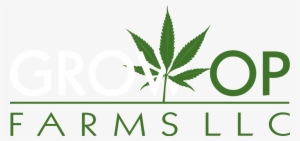 Must Be 21 Or Older - Cannaleaf-1 Shower Curtain #969928