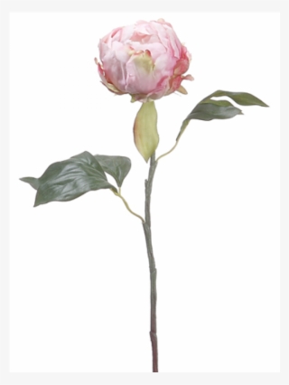 18" Peony Bud Spray Pink - Pink Peony Bud Flower #9602683