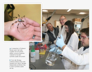 In Addition To The Transgenic Ruminants, The Usu Professor - Usu Spider Silk Lab #9602946