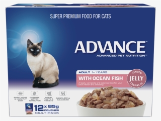 Cat Food #9603006
