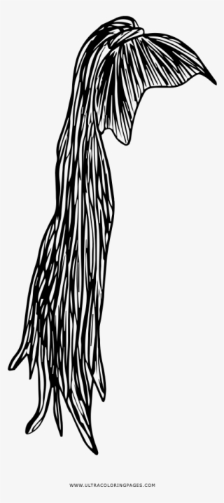 High Ponytail Coloring Page - Coda Di Cavallo Disegno #9603367