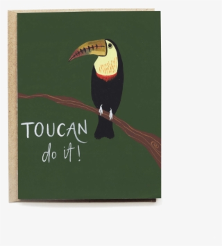 Save - Toucan #9604244