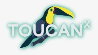 Toucan #9604289