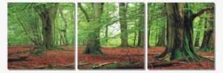 Fairytail Forest 3 Piece Wall Decor - Forest Banner #9606157