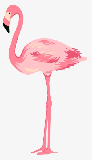 1301 X 2255 8 - Flamingo Png #9606314 1301 X 2255 8 - Flamingo Png #9606314