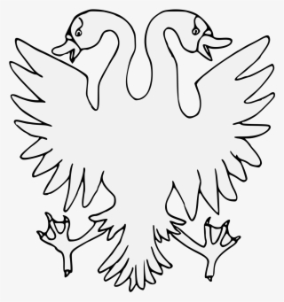 Details, Png - Duck #9606446