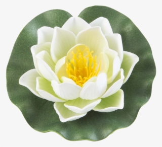 Floating Flowers Foam - Sacred Lotus #9608589