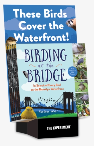 Counter Display - Flyer #9609001