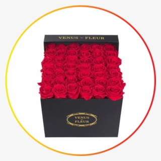 Flower #9609362 Flower #9609362