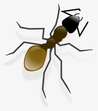 Ant, Insect, Animal, Wildlife - Ant Clip Art #9609835